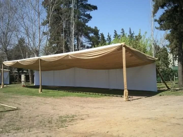 Carpaliza