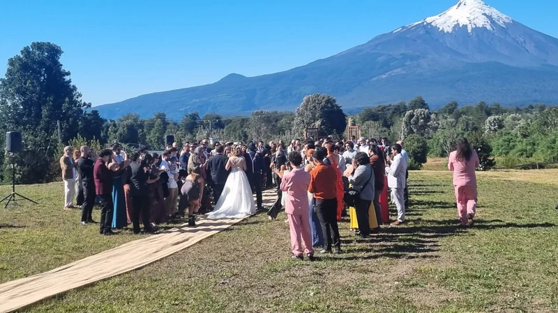 Fiesta de matrimonio