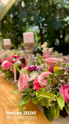 Bufon eventos - Imagen 1