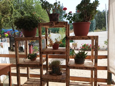 Comercializadora Carolina Paz Gidi Letelier EIRL — Flores y Decoración — Imagen 1