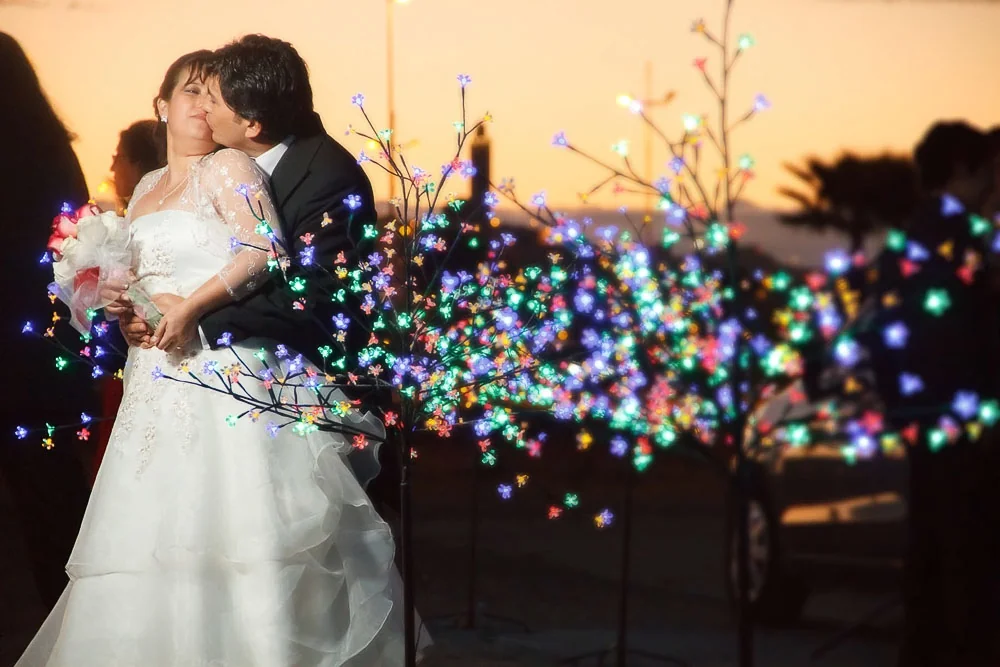 Fotos Rey - Imagen 2