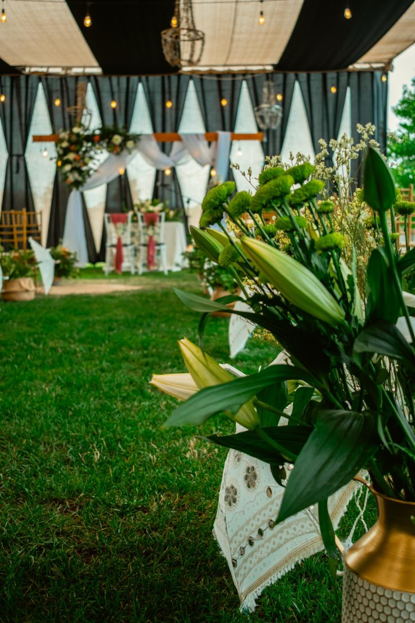 Altos de Colin - Imagen 5