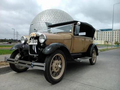 Burrita.cl - Imagen 1