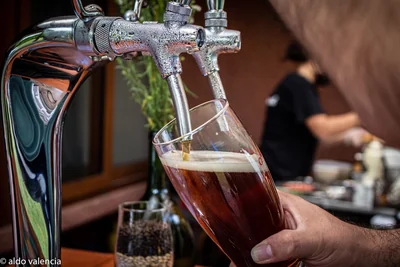 Sociedad cervecera tomcat spa — Barras Móviles en Melipilla — Imagen 1