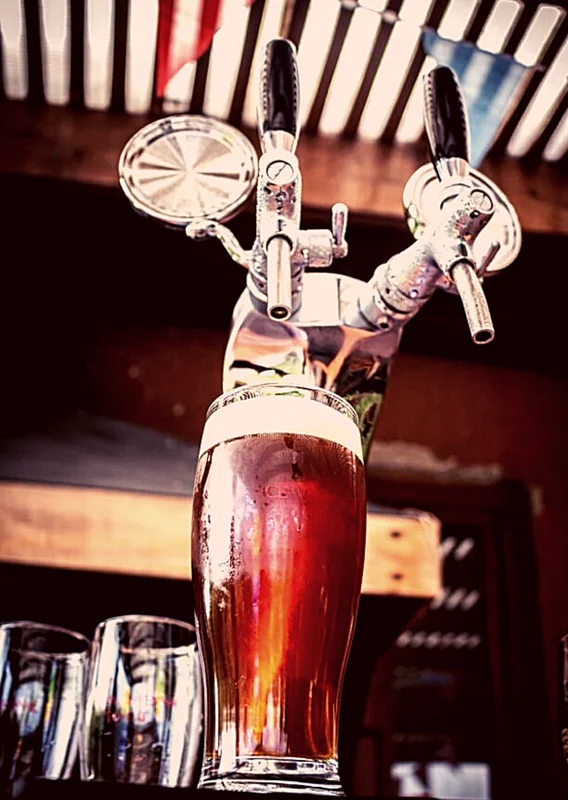 Cerveza Tomcat