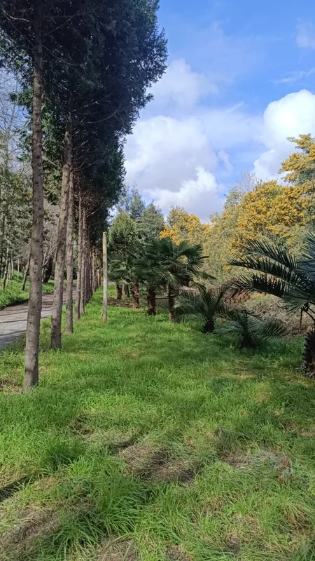 Eventos Campo Lindo