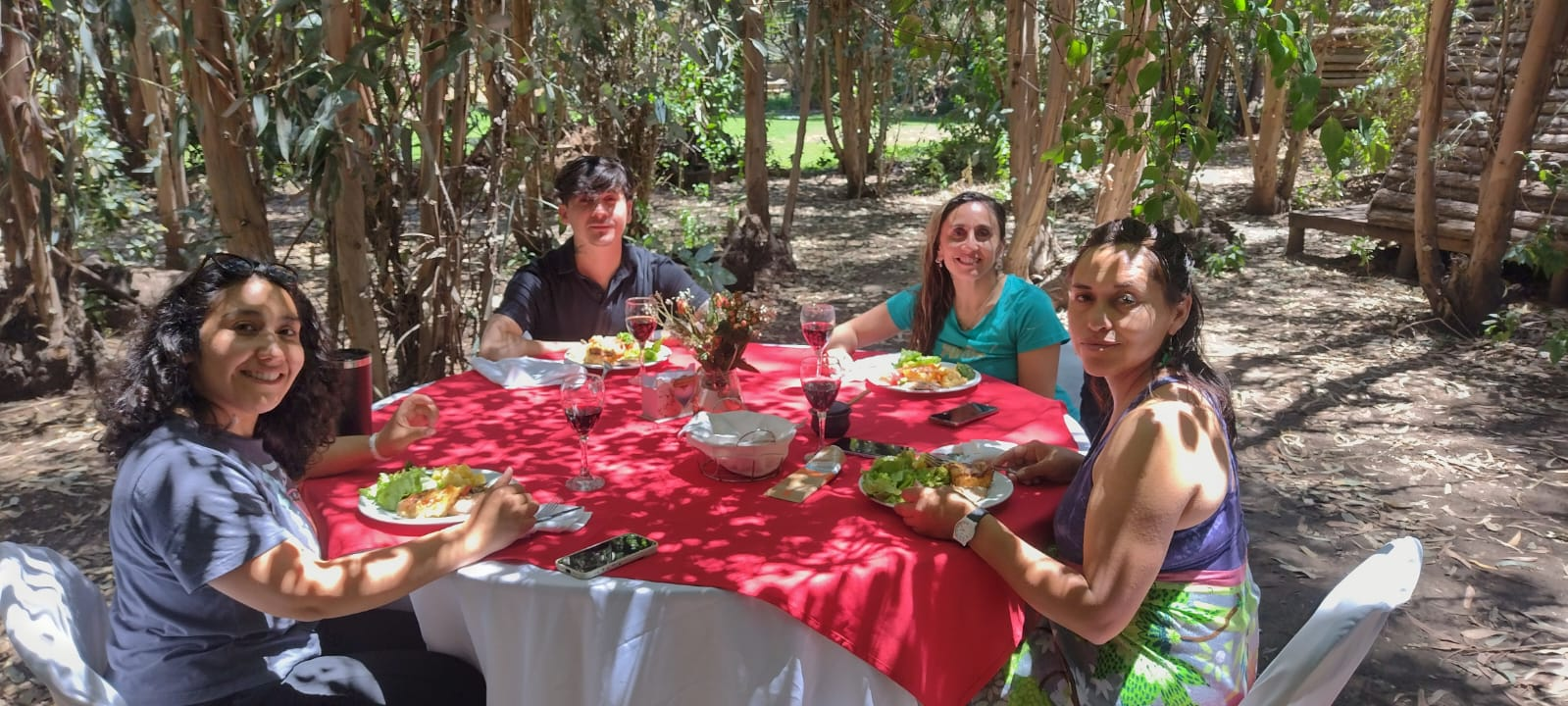 Bosques del Paico - Imagen 1