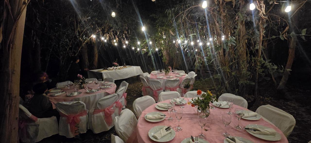 Bosques del Paico - Imagen 5