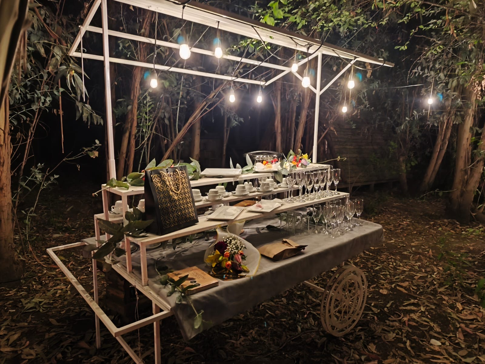 Bosques del Paico - Imagen 4