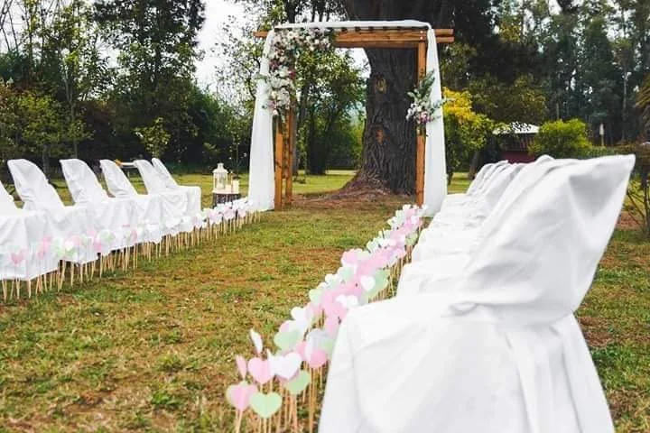 Kalma Pistas de baile chile