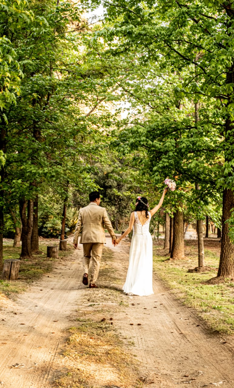 Torreón del Principal - Pirque - Imagen 3