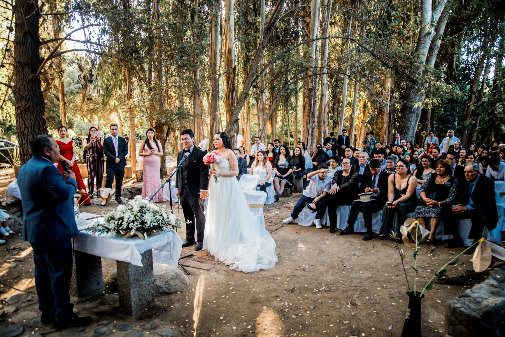 Torreón del Principal - Pirque - Imagen 7