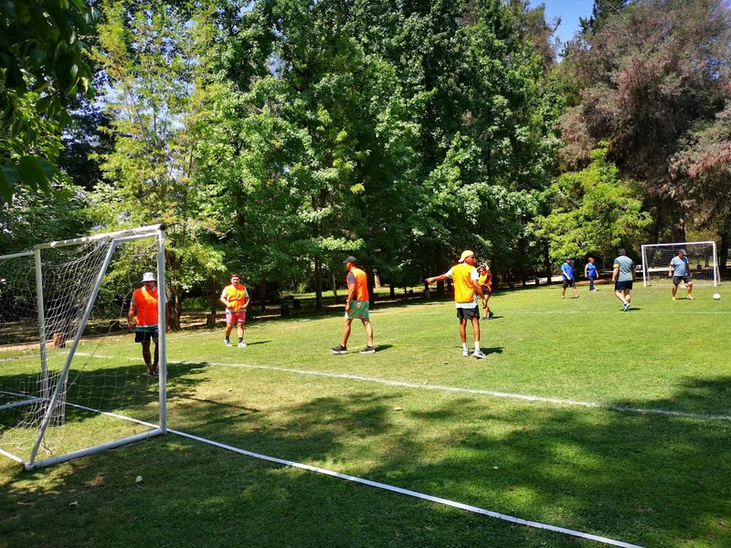 Torreón del Principal - Pirque