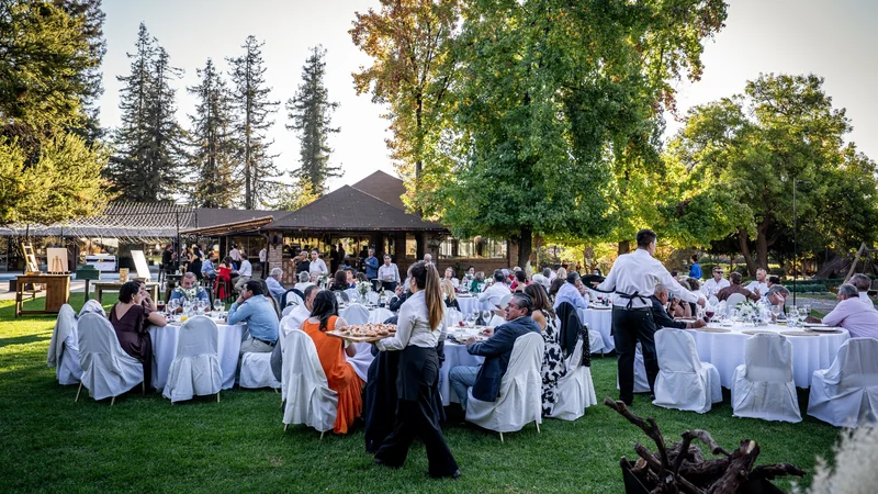 Nodo Campestre