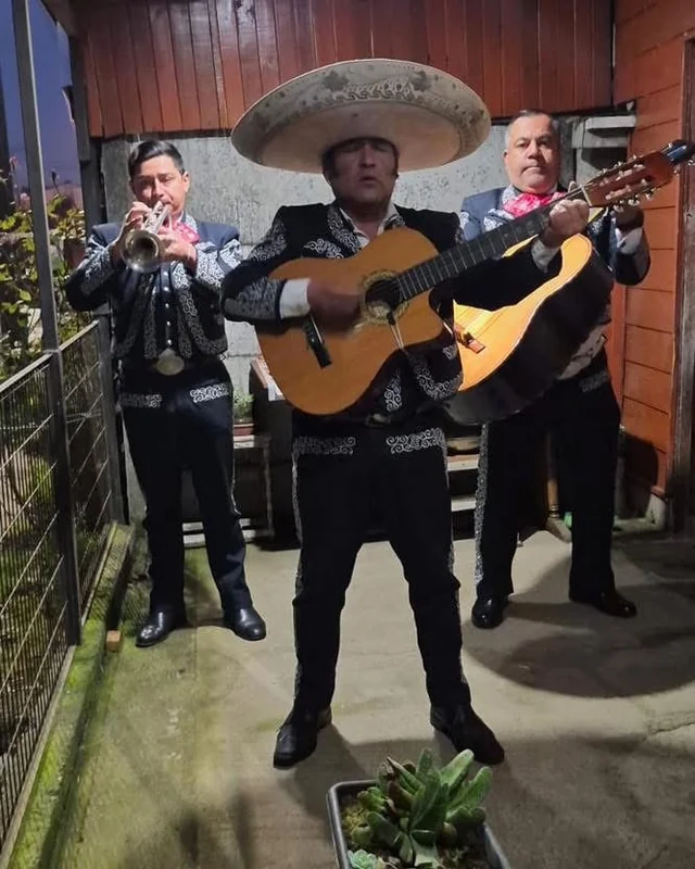 Mariachi Tequila