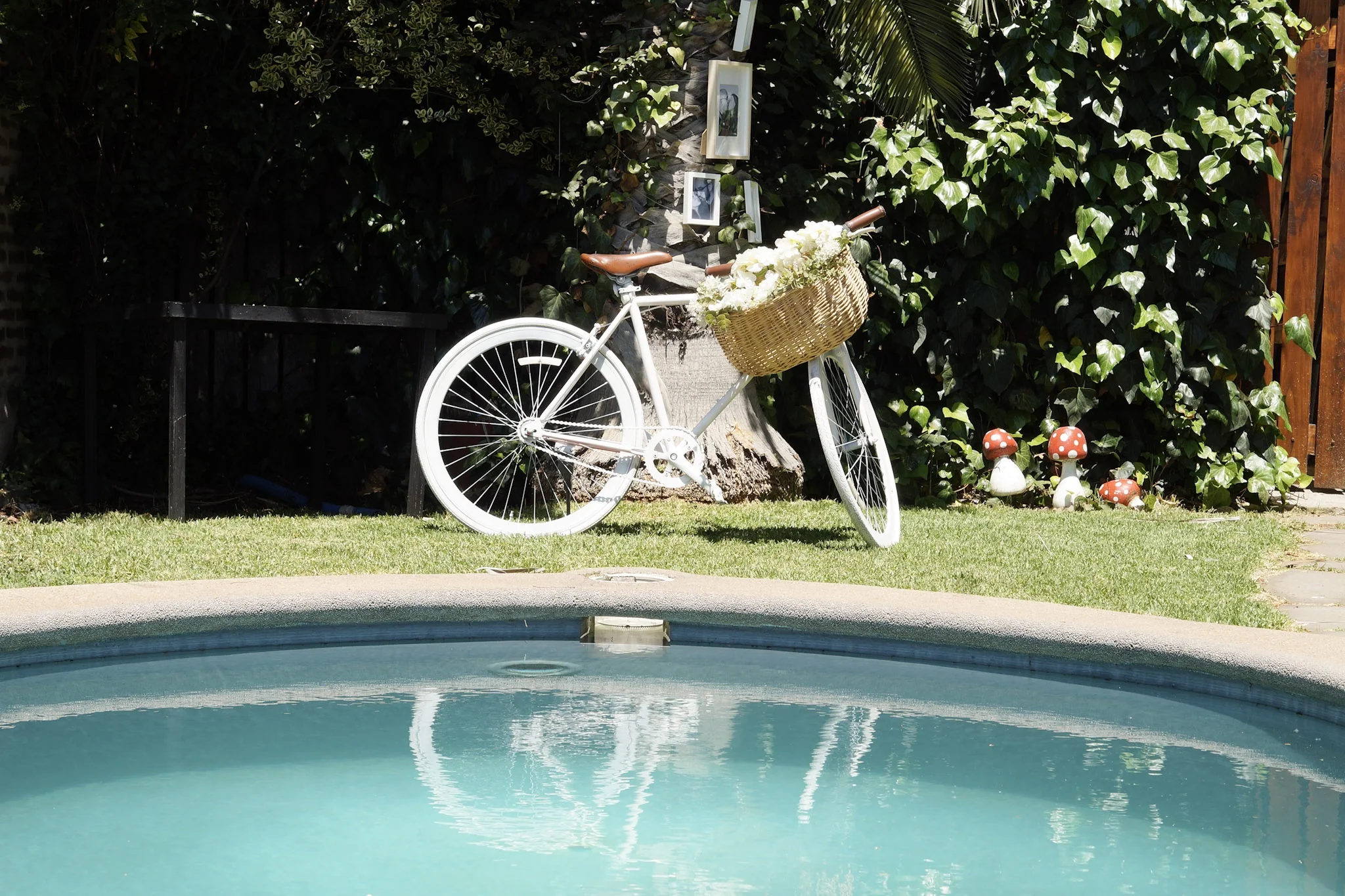 Anabalón eventos - Imagen 1