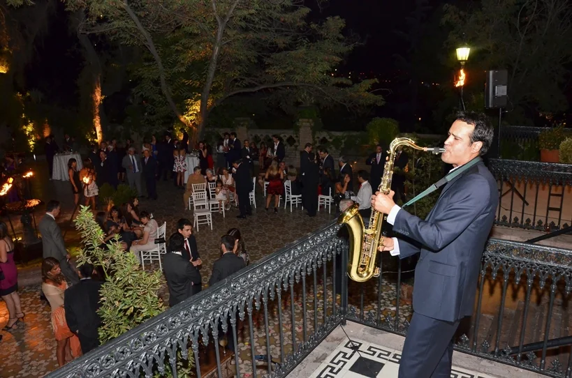 PARDOSAXO - Imagen 4