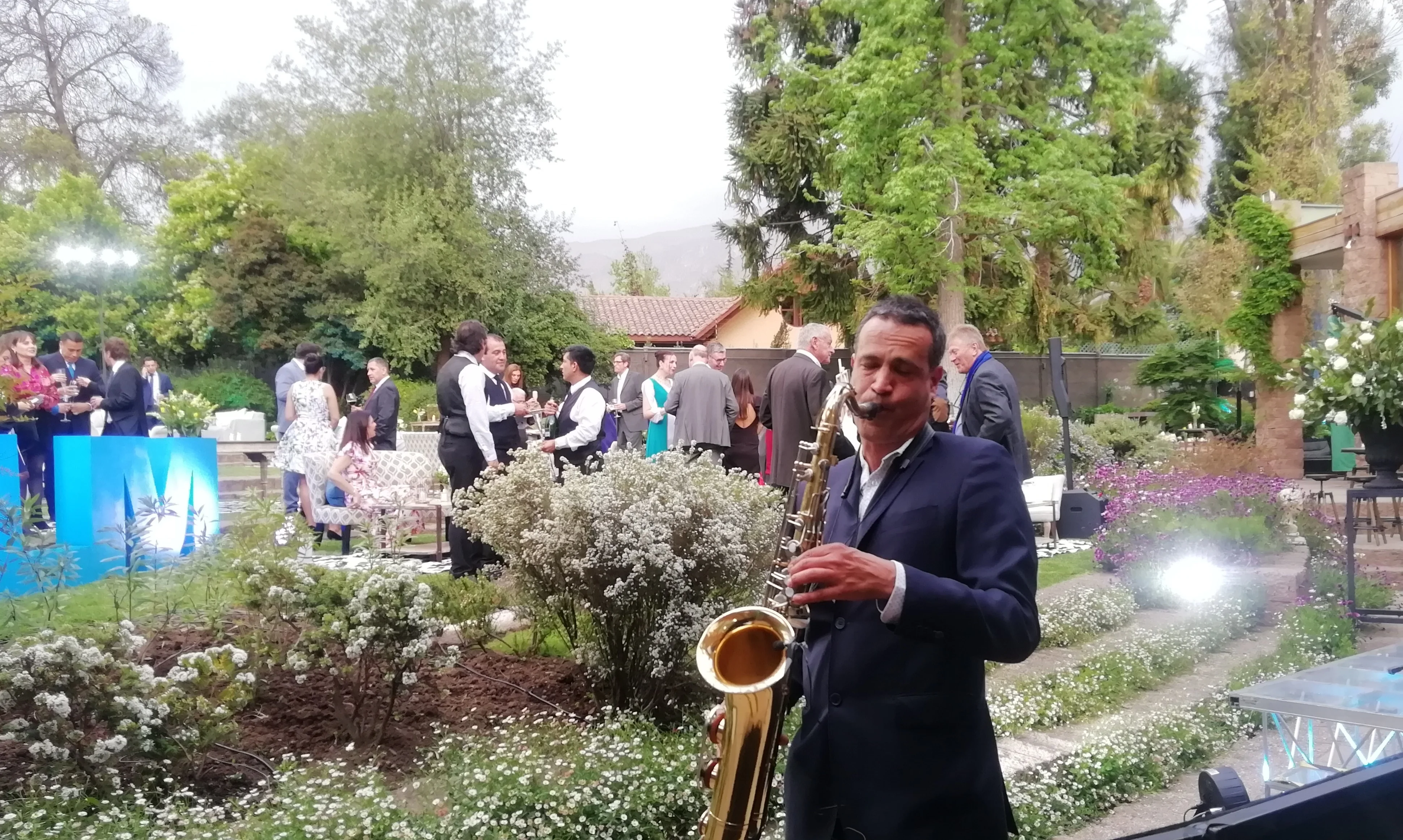 PARDOSAXO - Imagen 24