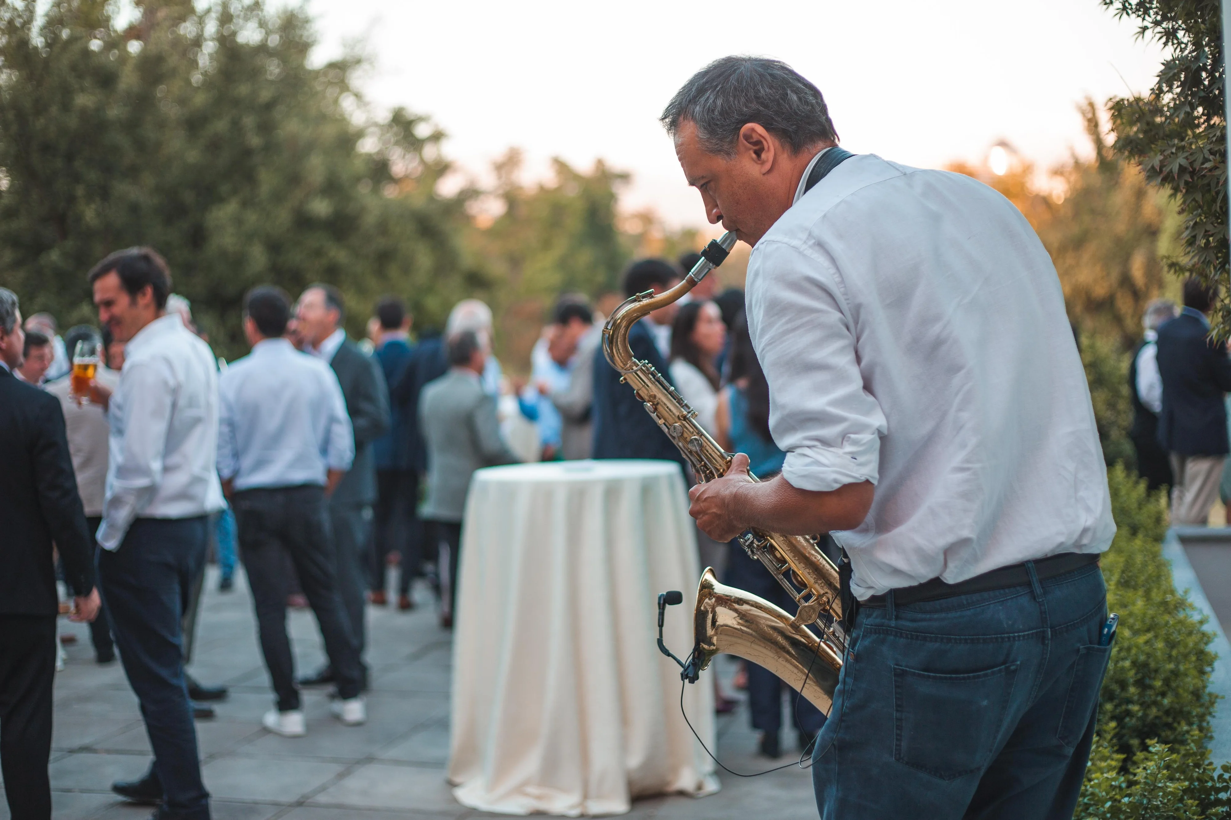 PARDOSAXO - Imagen 25