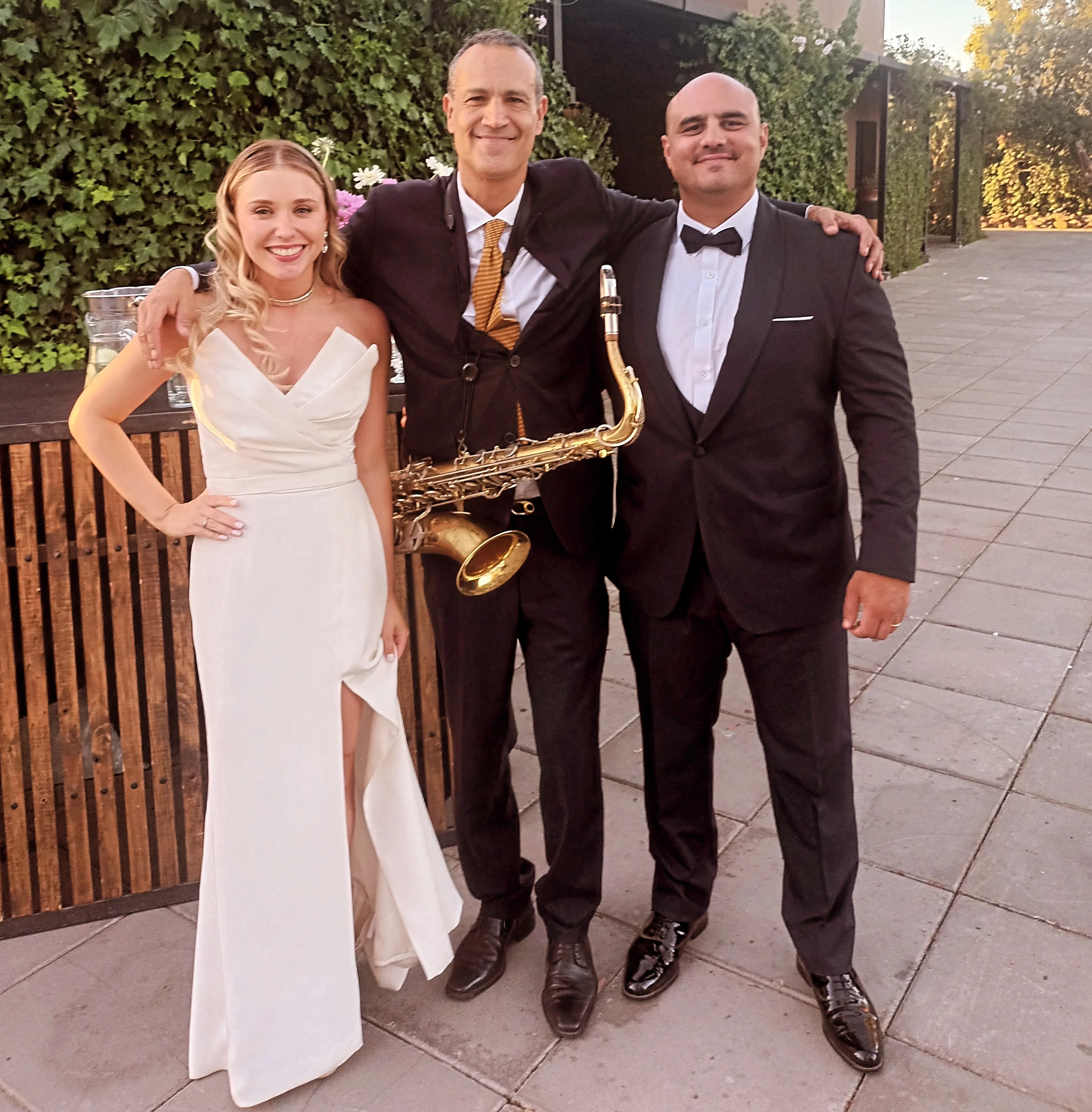 PARDOSAXO - Imagen 43