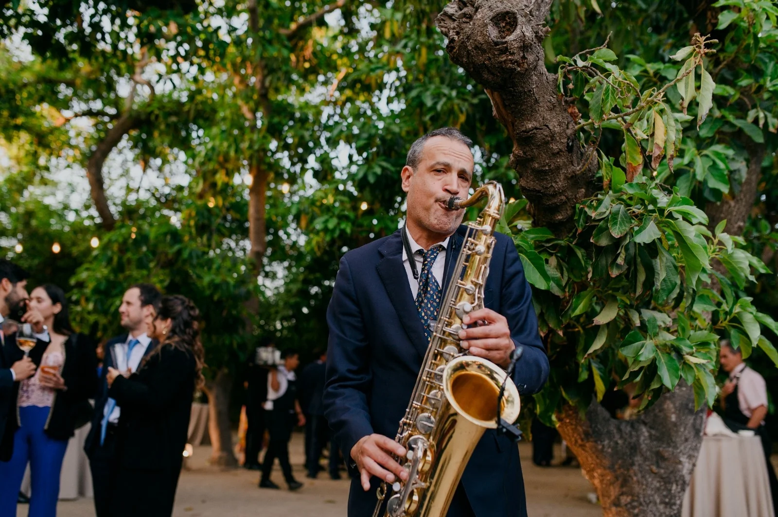 Participación solo COCTEL o CENA