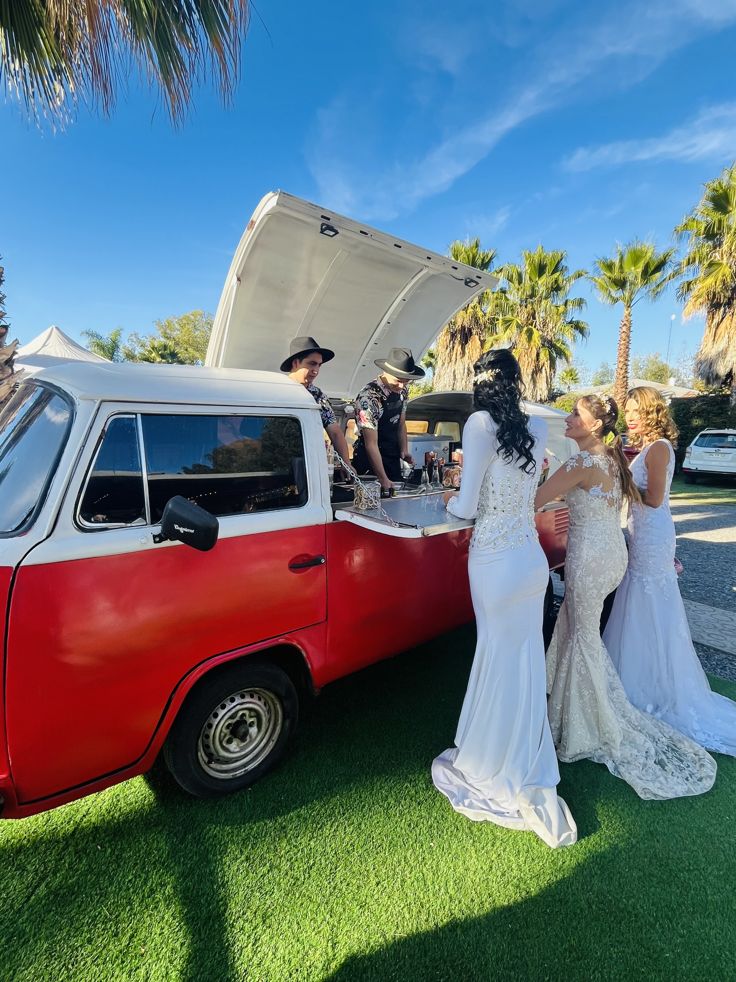 Ovejero drinks - Imagen 3