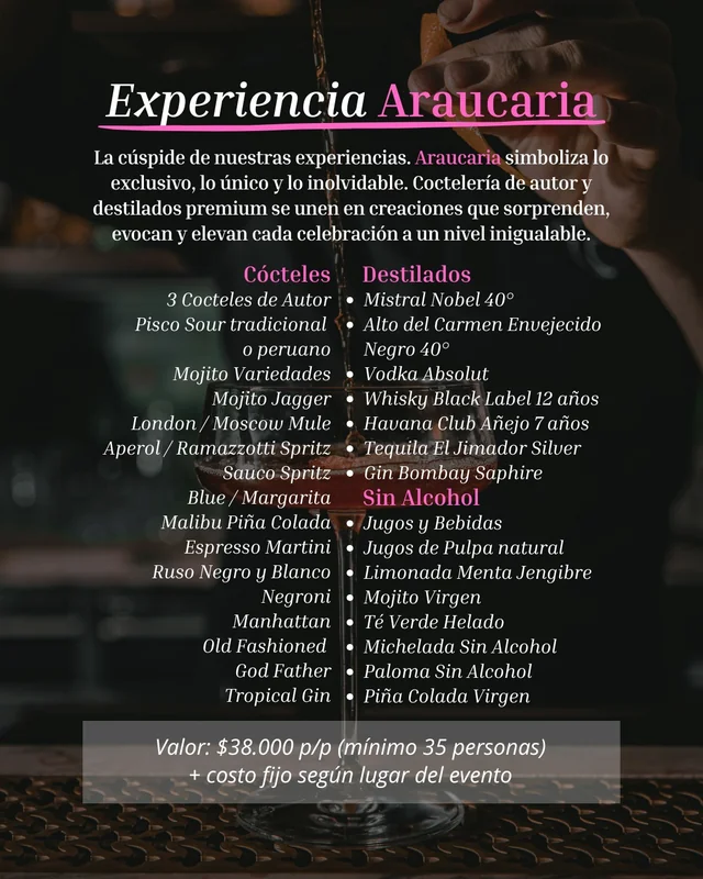 Experiencia Araucaria