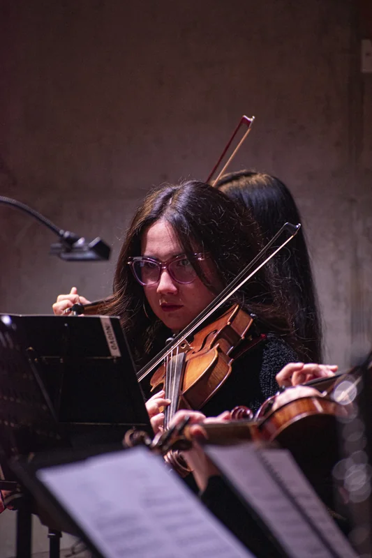 Mariale_violin