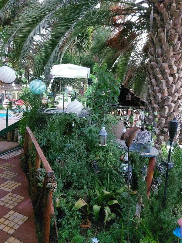 Espina Alto Castillo