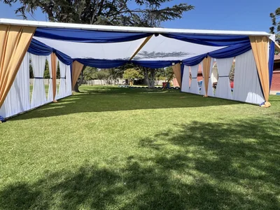 Carpas Oscar baza cares riel - Imagen 1