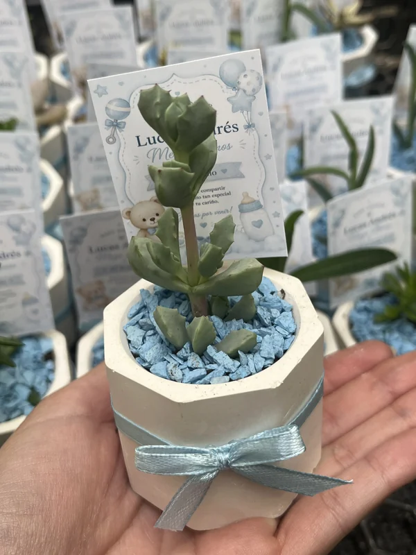 Rincon Floral