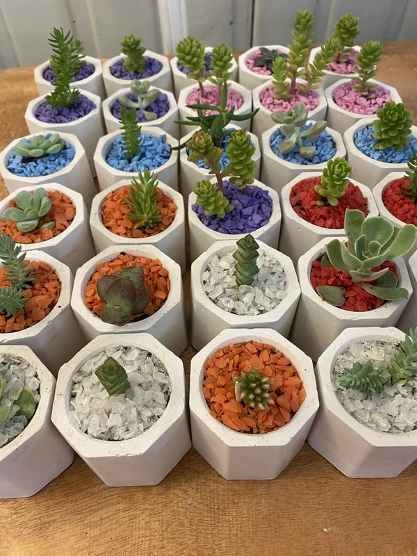 Rincon Floral