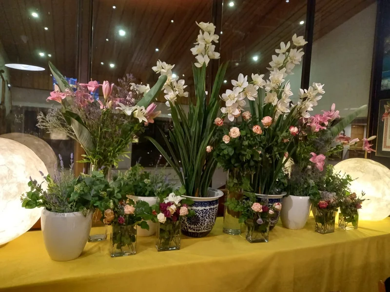 Radnic Eventos