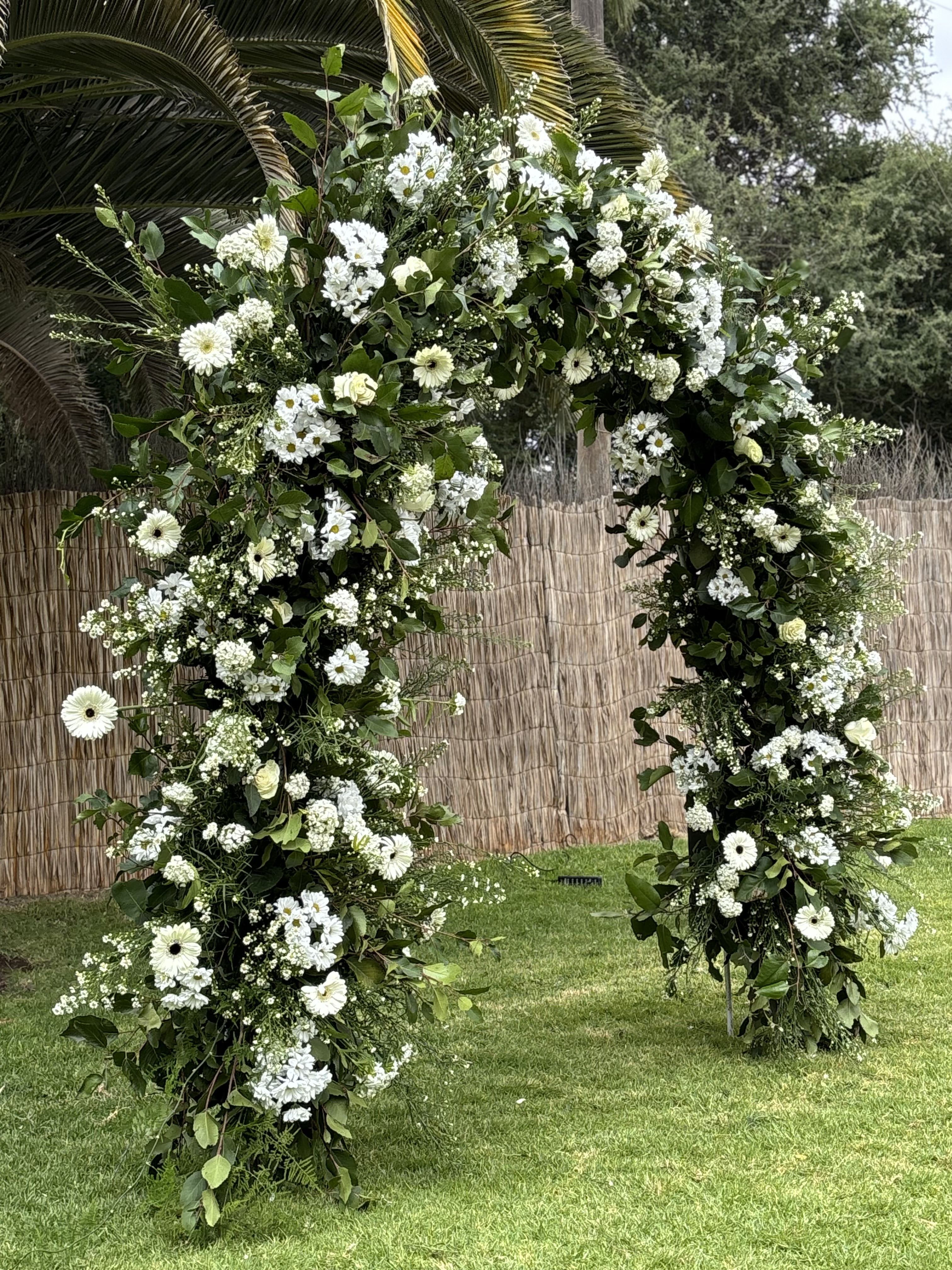 Estudio Floral Alta Flor - Imagen 1