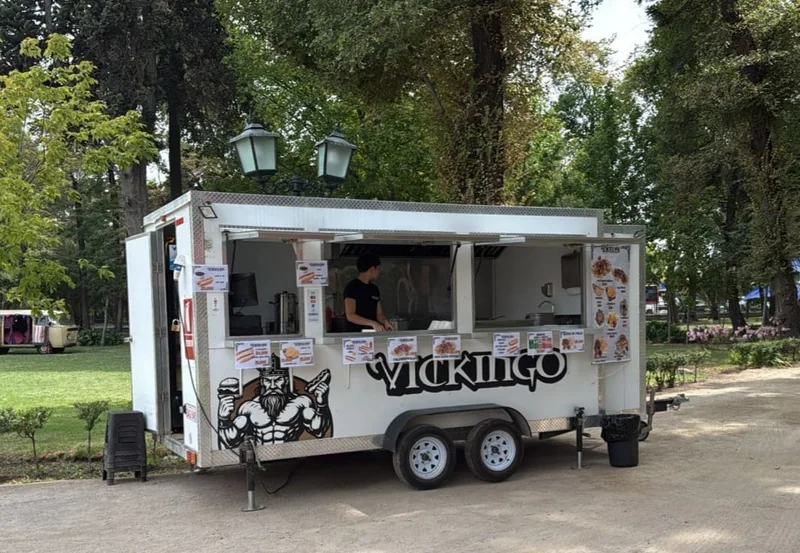 VICKINGO