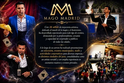 Alberto Madrid — Entretenimiento en Padre Hurtado — Imagen 1