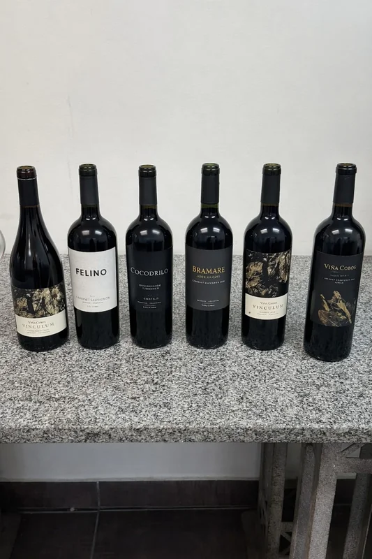 Experiencia vinícola & gastronómica en tierra de viñedos.