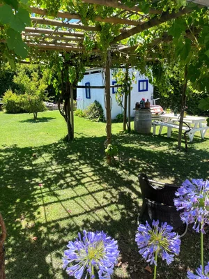 COMMERCE CHILE SPA — Imagen 1