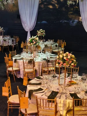 Vaneblue producciones spa - Imagen 1