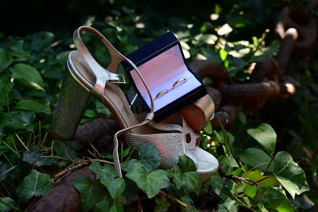 Marvicproducciones - Víctor Bravo C. - Imagen 3