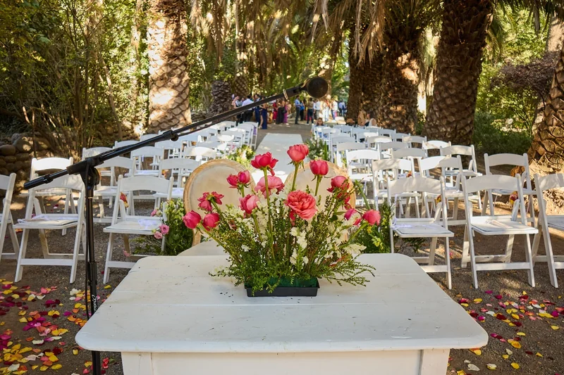 Minerva producciones