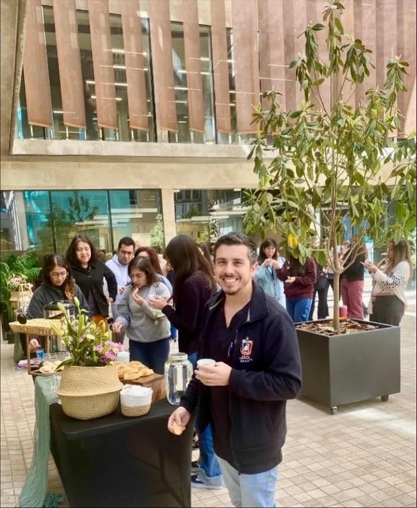 Productora barrita - Imagen 4