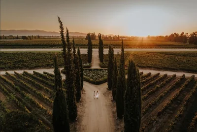 Top Wine Group — Imagen 1