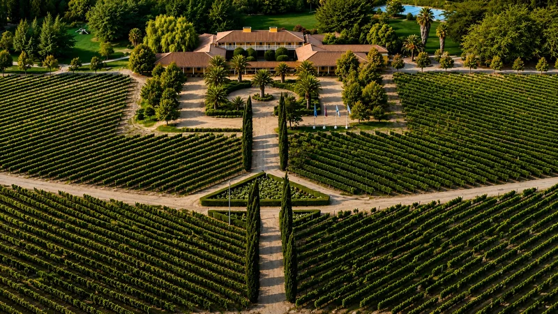 Hotel Viña La Playa - Valle de Colchagua