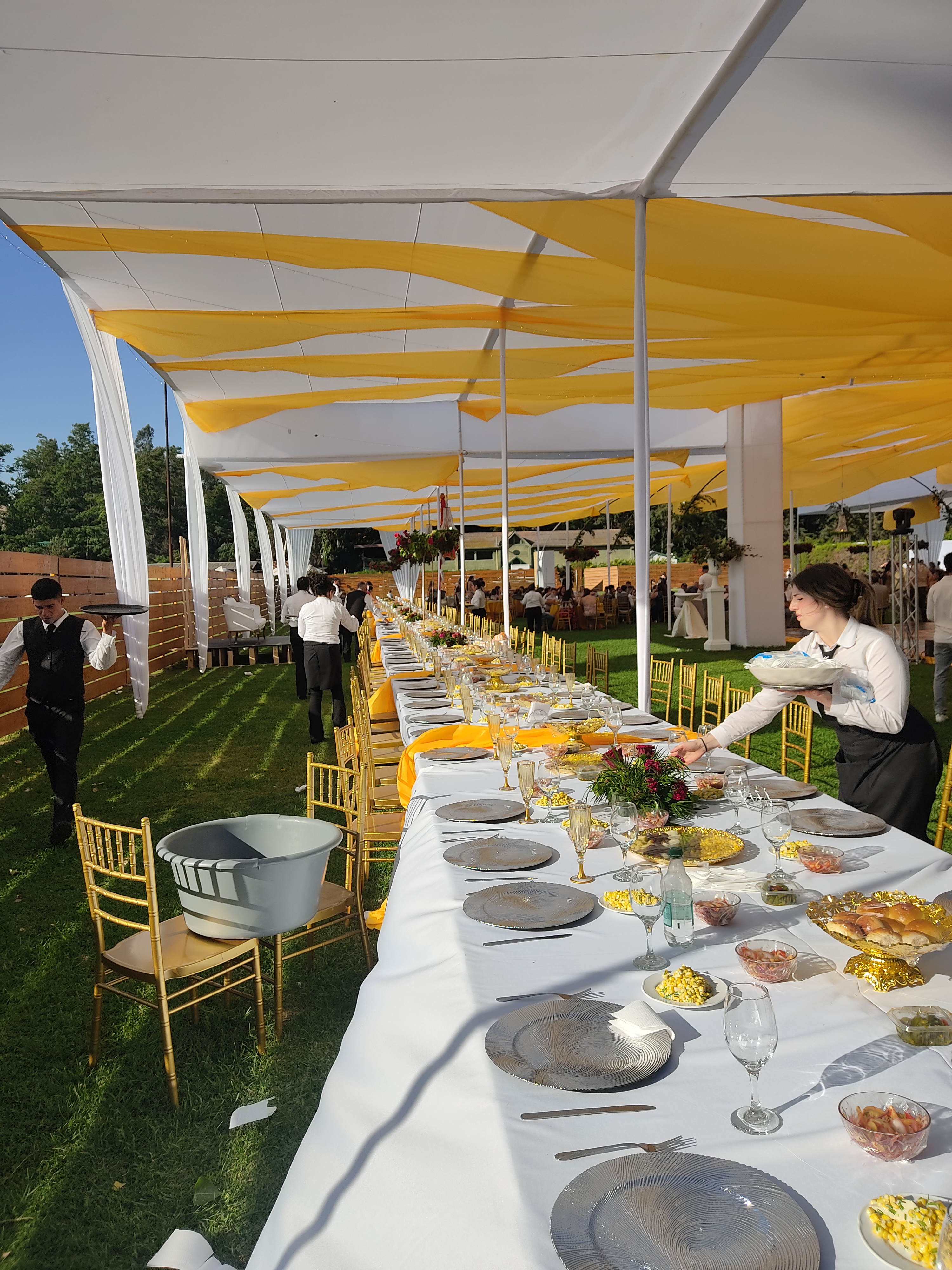 Silva servicios - Imagen 2