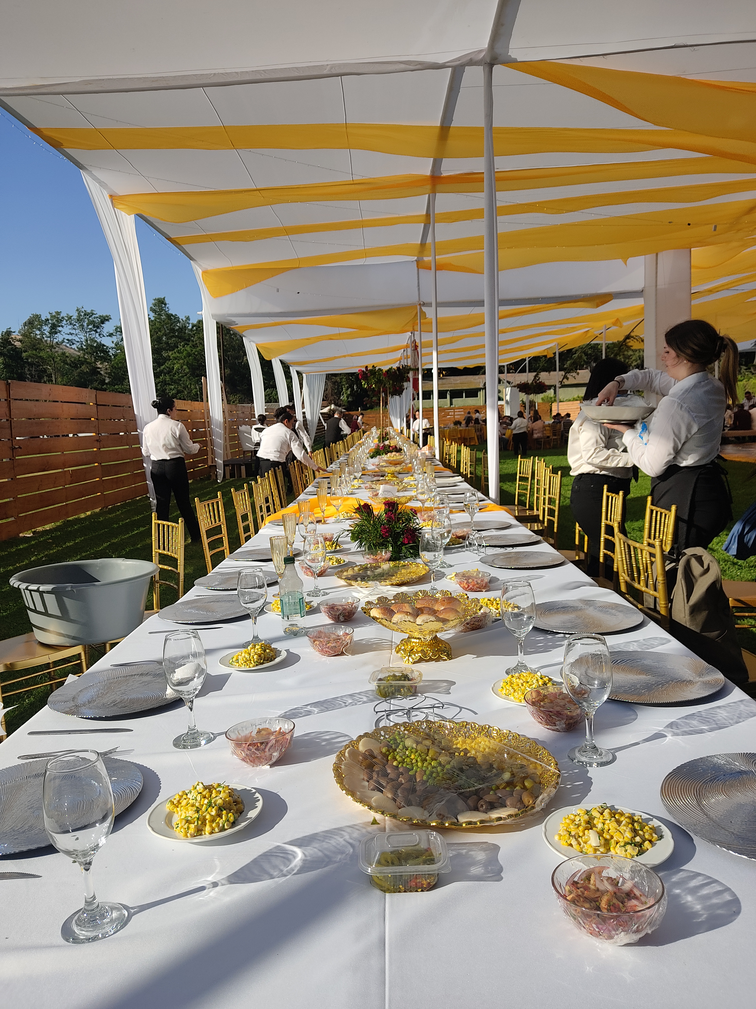 Silva servicios - Imagen 3