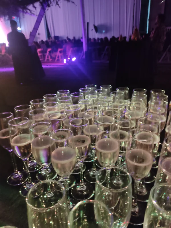 Servicio de bartender o barra movil