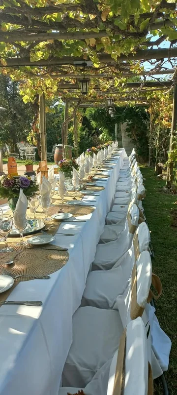 Rony eventos II