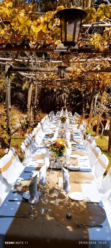 Rony eventos II