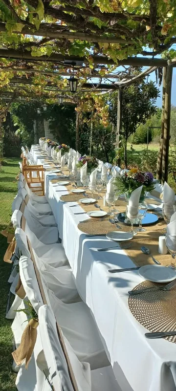 Rony eventos II
